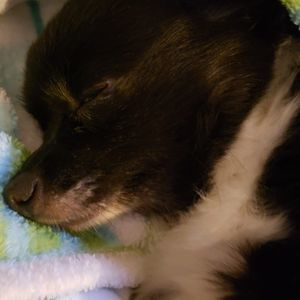 Meet your Posher, Catharina